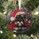 Search for grumpy christmas tree decorations Cute