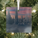 Search for finland christmas tree decorations Landscape