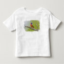 Search for buntings tshirts Nature