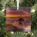 Search for monterey california christmas tree decorations Coastline