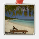 Search for fiji christmas tree decorations Beach