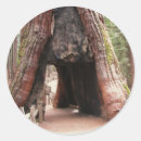 Search for tunnel stickers Tree