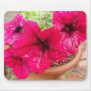 Search for petunia mouse mats Floral