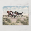 Search for galloping postcards Landscape