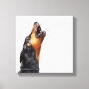 Search for colourful animal canvas prints Close up
