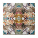 Search for terracotta tiles Bathroom