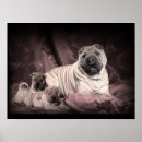 Search for vintage dog posters Puppy