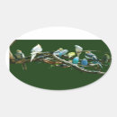 Search for parakeet stickers Pets