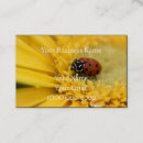 Search for gerbera business cards Black