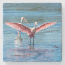 Search for sanibel coasters Spoonbill