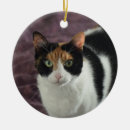 Search for calico cat christmas tree decorations Animals