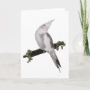 Search for cockatiel cards cute