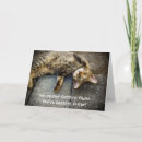 Search for getting older cards Cute