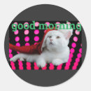 Search for beautiful cat stickers Design