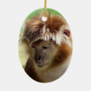 Search for cute monkey christmas tree decorations Animals
