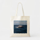 Search for breach bags Ocean