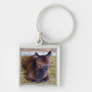 Search for alpacas key rings Farm
