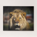 Search for big lion puzzles Animals