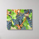 Search for wine vineyard canvas prints Food