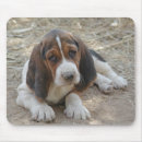 Search for mucky Cute