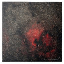 Search for pelican tiles Photography
