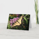 Search for beautiful cards Purple