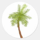 Search for coconut palm tree stickers Nature