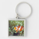 Search for clown key rings Sealife