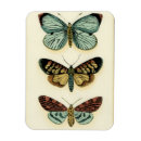 Search for collections magnets Cream