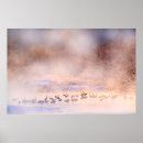 Search for winter scene posters Landscape