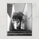 Search for boing postcards Bo kaap
