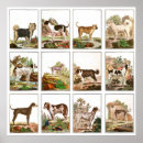 Search for vintage hunting art Dog