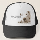 Search for pit bulls accessories Puppy