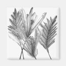 Search for silhouettes magnets Botanical
