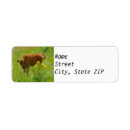 Search for bison return address labels Baby