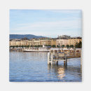 Search for geneva magnets Landscape