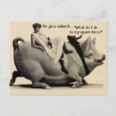 Search for sharing horizontal postcards Vintage