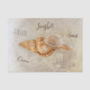 Search for sea shells tissue paper Ocean