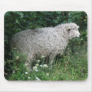 Search for sheep mouse mats woolly
