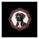 Search for great dane posters Canine