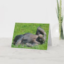 Search for funny chimpanzee postcards Chimps