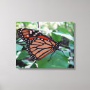 Search for stained glass butterfly art Flower