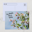 Search for blue wildflower postcards Nature photography