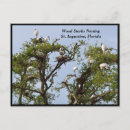 Search for storks postcards Landscape