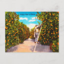 Search for time unit postcards Travel