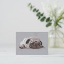 Search for pug note cards Cute