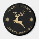 Search for name christmas magnets Modern