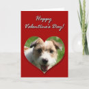Search for jack russell terrier valentines day cards Dog