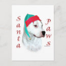 Search for argentine cards Dog