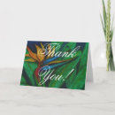Search for bird paradise cards Flower
